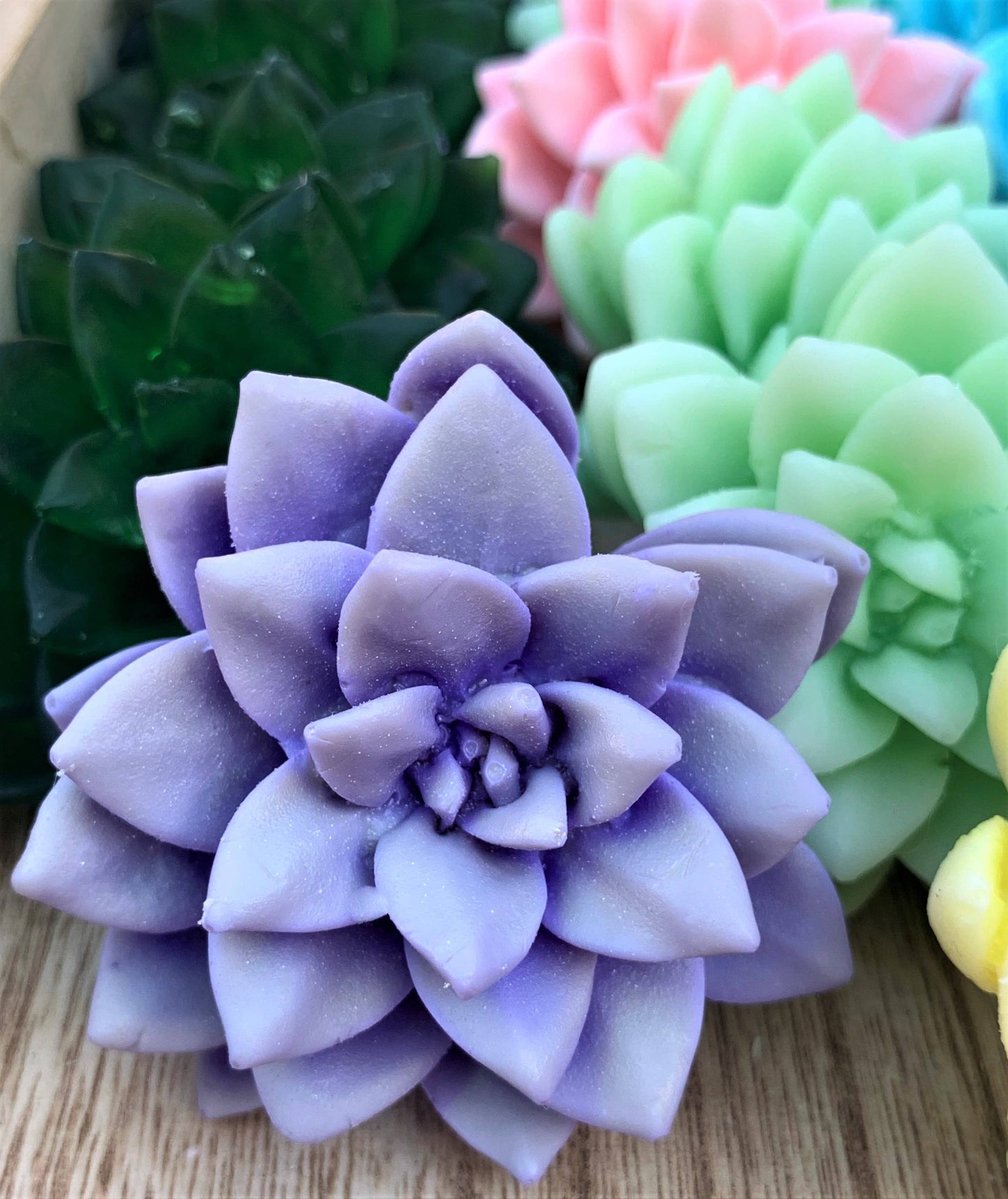 Succulent Soaps