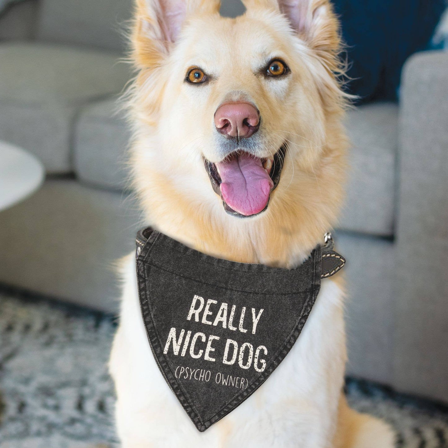 Really Nice Dog (Psycho Owner) Dog Bandana