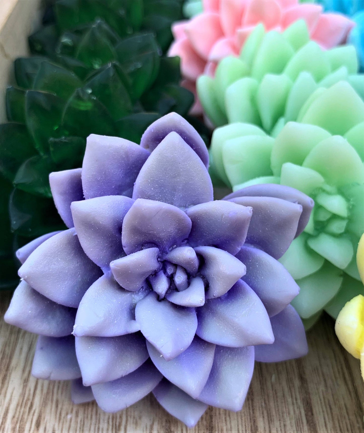 Succulent  Soaps