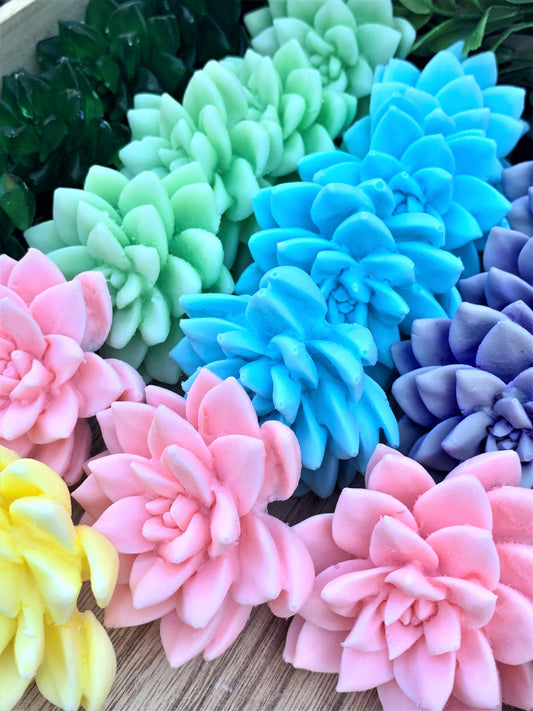 Succulent  Soaps